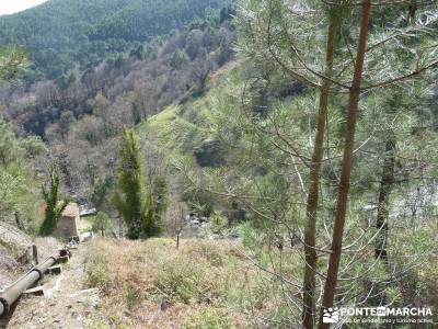 Cascadas de Gavilanes - Pedro Bernardo;trekking y aventura pedriza rutas de senderismo